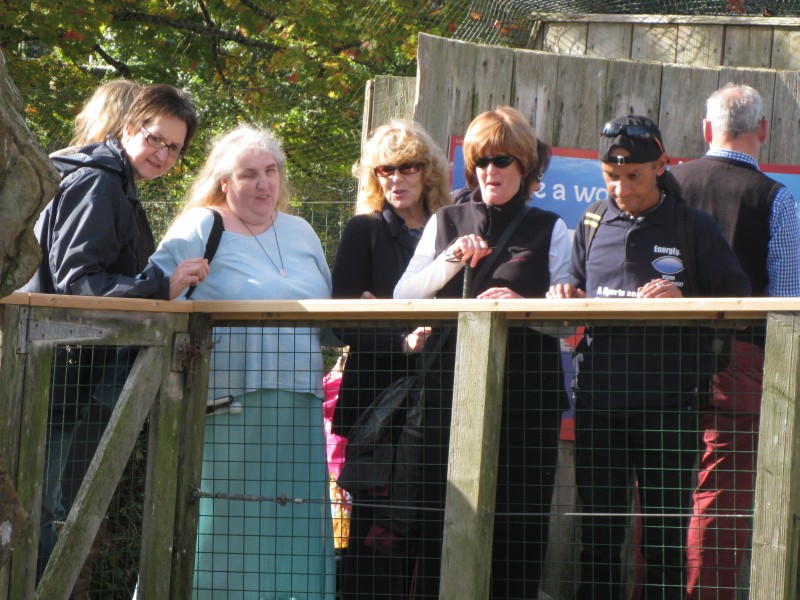 Michele, India, Aileen, Jean &amp; Warren watching the sea lions being fed