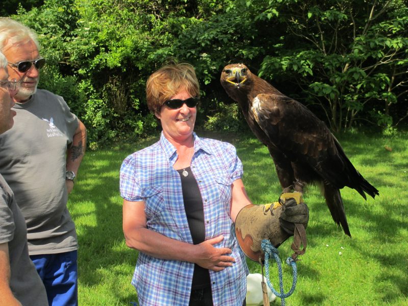 Jean holding an Eagle Saturday 14th June 2014