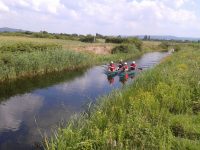 Canoeing 23rd July 2014 Hewish near Weston-super-Mare