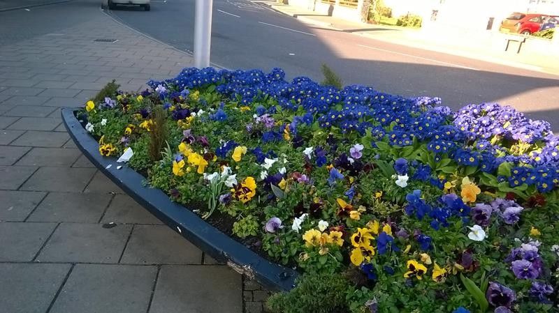 A boat of colour outside Weston-super-Mare Railway Station. Beautiful!