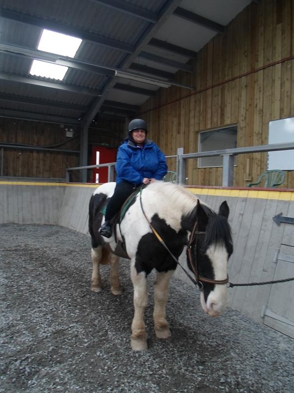 Jayne on Teddy in the arena