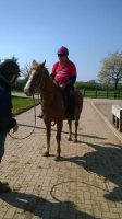 HORSE RIDING, URCHINWOOD MANOR, WRINGTON, SOMERSET MONDAY 20TH APRIL 2015