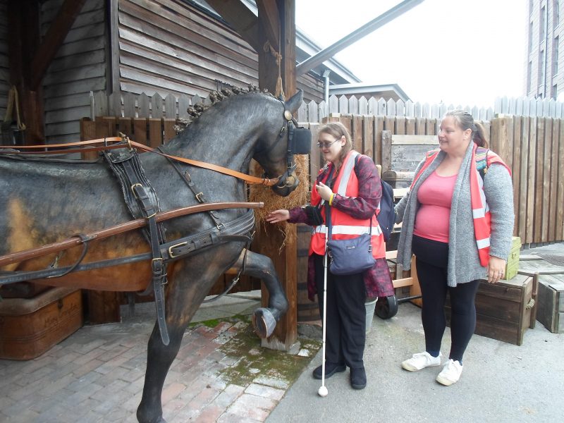 Kimby feeding the horse, Michelle looking puzzled!