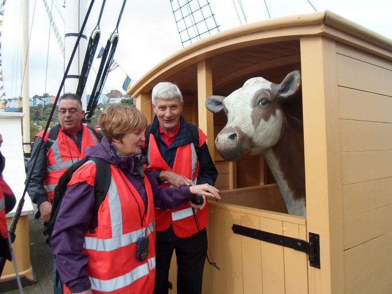 Spud getting Jean to touch the cow. What a noise she makes - the cow not Jean! Robin was very puzzled.