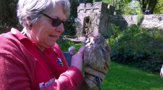 Slideshow: Ann holding Ballsey, a European Eagle Owl, Banwell Castle, May 2014.