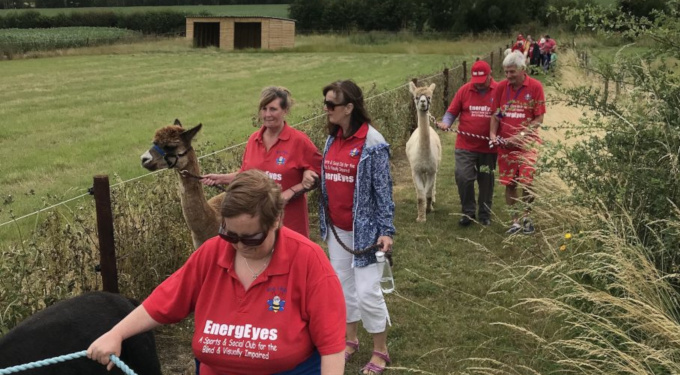 Slideshow: Walking with alpacas, July 2019.