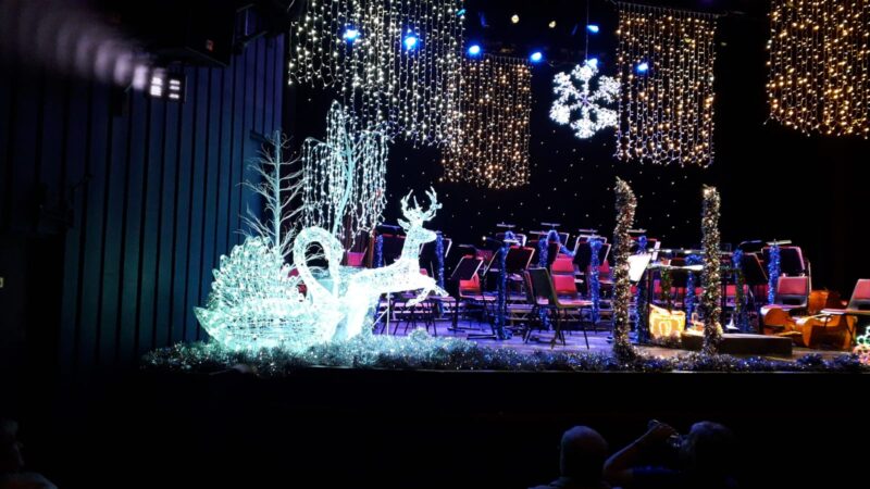 THE STAGE BACKDROP WITH TRIMMINGS HANGING DOWN FOR THE BACKDROP ON THE STAGE WITH A BRIGHT STAR IN THE CENTRE. A SWAN AND A REINDEER AT THE FRONT OF THE STAGE